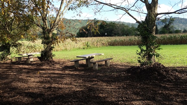 Tlc Bench A Guide to Cremation Benches – TLC Cremation