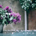 cremation services in Irving, TX