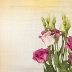 cremation services in Dallas TX