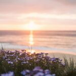 cremation services in Dallas, TX