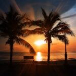 cremation services in Farmers Branch, TX