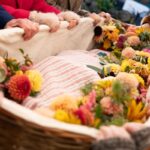 cremation services Farmers Branch, TX