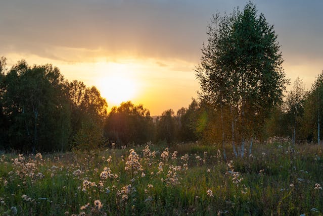 cremation services Irving, TX