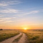 cremation services Dallas, TX