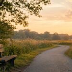 Peaceful sunrise path and bench near cremation services Farmers Branch, TX guidance support