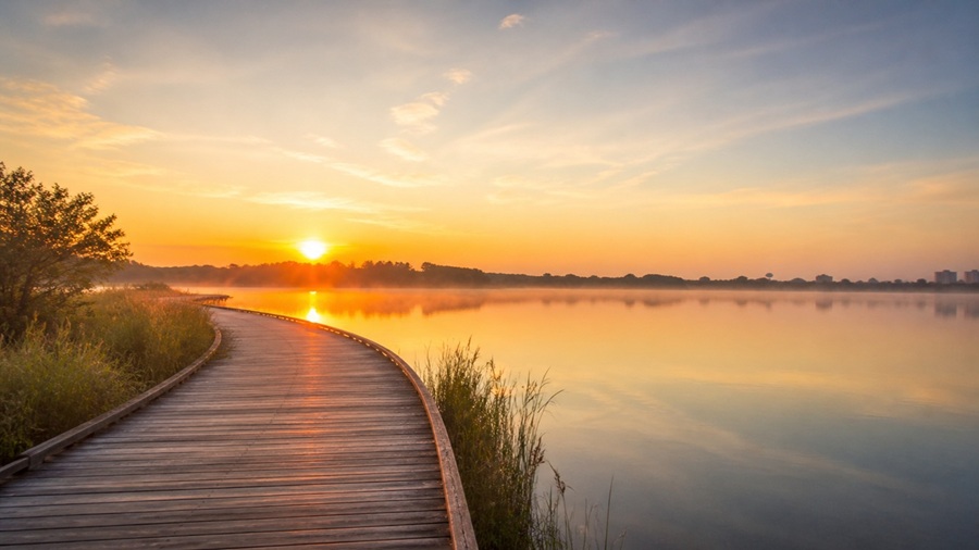 What Families Should Know Before Choosing Direct Cremation